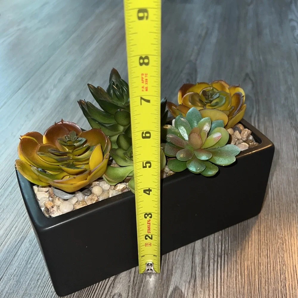 World Market Faux Succulent Arrangement In Ceramic Box-Like New